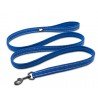 Laisse pour chien Truelove Walk - TLL2111