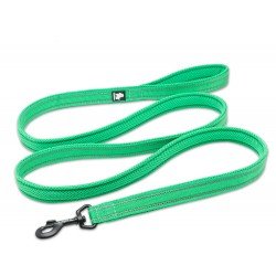 Laisse pour chien Truelove Walk - TLL2111