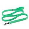 Laisse pour chien Truelove Walk - TLL2111