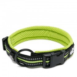 Collier pour chien Truelove Flex - TLC5011