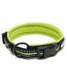 Collier pour chien Truelove Flex - TLC5011