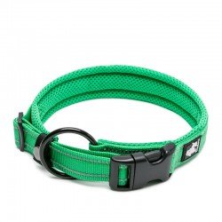 Collier pour chien Truelove Flex - TLC5011