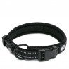 Collier pour chien Truelove Flex - TLC5011