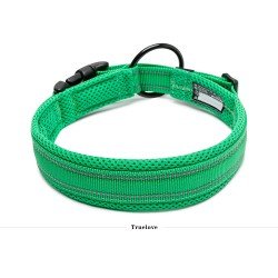 Collier pour chien Truelove Flex - TLC5011