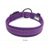 Collier pour chien Truelove Flex - TLC5011