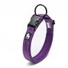 Collier pour chien Truelove Flex - TLC5011