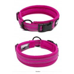 Collier pour chien Truelove Flex - TLC5011