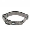 Collier pour chien Truelove Flux - TLC5271