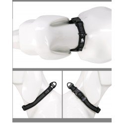 Collier pour chien Truelove Flux - TLC5271