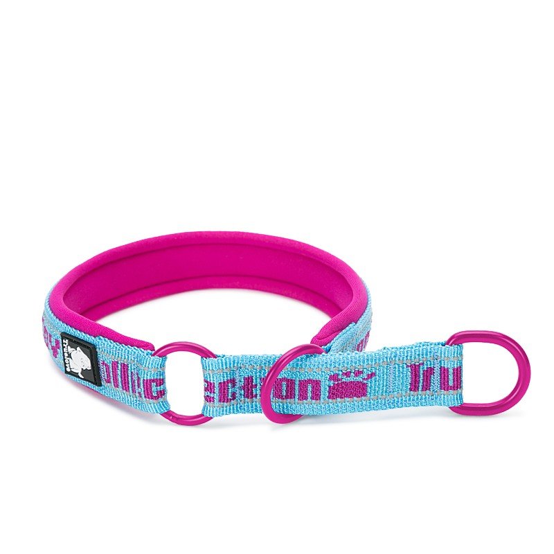 Collier pour chien Truelove STOP - TLC5371
