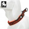 Collier pour chien Truelove STOP - TLC5371
