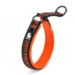 Collier pour chien Truelove STOP - TLC5371