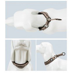 Collier pour chien Truelove STOP - TLC5371