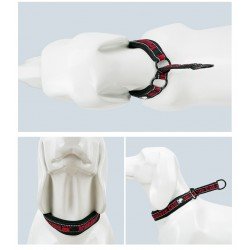 Collier pour chien Truelove STOP - TLC5371