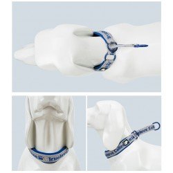 Collier pour chien Truelove STOP - TLC5371