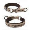 Collier pour chien Truelove STOP - TLC5371
