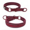 Collier pour chien Truelove STOP - TLC5371