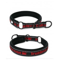 Collier pour chien Truelove STOP - TLC5371