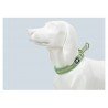 Collier pour chien Truelove STOP - TLC5371