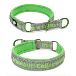 Collier pour chien Truelove STOP - TLC5371