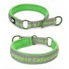 Collier pour chien Truelove STOP - TLC5371