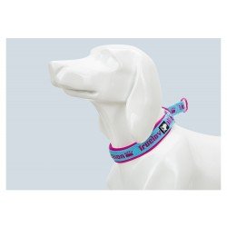 Collier pour chien Truelove STOP - TLC5371