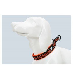 Collier pour chien Truelove STOP - TLC5371