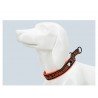 Collier pour chien Truelove STOP - TLC5371