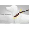 Collier pour chien Truelove STOP - TLC5371