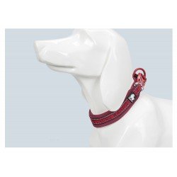 Collier pour chien Truelove flex+ - TLC50121