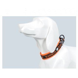 Collier pour chien Truelove flex+ - TLC50121