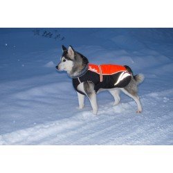 Manteau pour chien hiver Truelove Snow - TLG2371