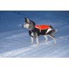 Manteau pour chien hiver Truelove Snow - TLG2371