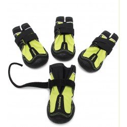 2 Chaussons Truelove Shoe - TLS4861