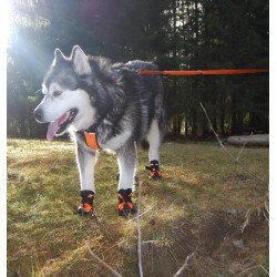 2 Chaussons Truelove Shoe