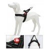 LED TRUELOVE POUR COLLIER LAISSE ET HARNAIS - TLD19101
