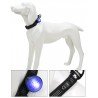 LED TRUELOVE POUR COLLIER LAISSE ET HARNAIS - TLD19101