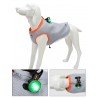 LED TRUELOVE POUR COLLIER LAISSE ET HARNAIS - TLD19101