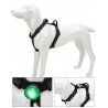 LED TRUELOVE POUR COLLIER LAISSE ET HARNAIS - TLD19101