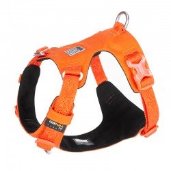 Harnais pour chien Truelove Colorado - TLH6281