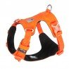 Harnais pour chien Truelove Colorado - TLH6281