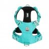 Harnais pour chien Truelove Colorado - TLH6281