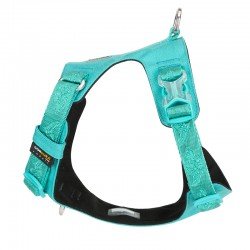 Harnais pour chien Truelove Colorado - TLH6281