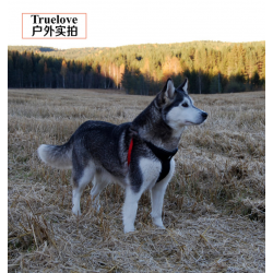 Harnais pour chien Truelove Hunting Special Edition - TLH5952