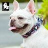 Collier pour chien Truelove FLEX + Flower - TLC5273