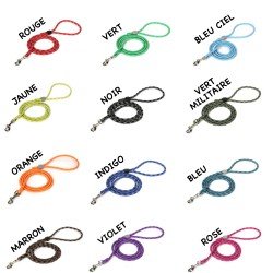 Laisse pour chien Truelove EDISON - TLL2576