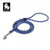 Laisse pour chien Truelove EDISON - TLL2576