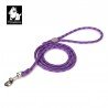Laisse pour chien Truelove EDISON - TLL2576