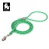 Laisse pour chien Truelove EDISON - TLL2576