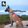 Laisse pour chien PVC Truelove KARELI - TLL3211